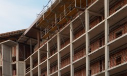 Etiam dictum egestas