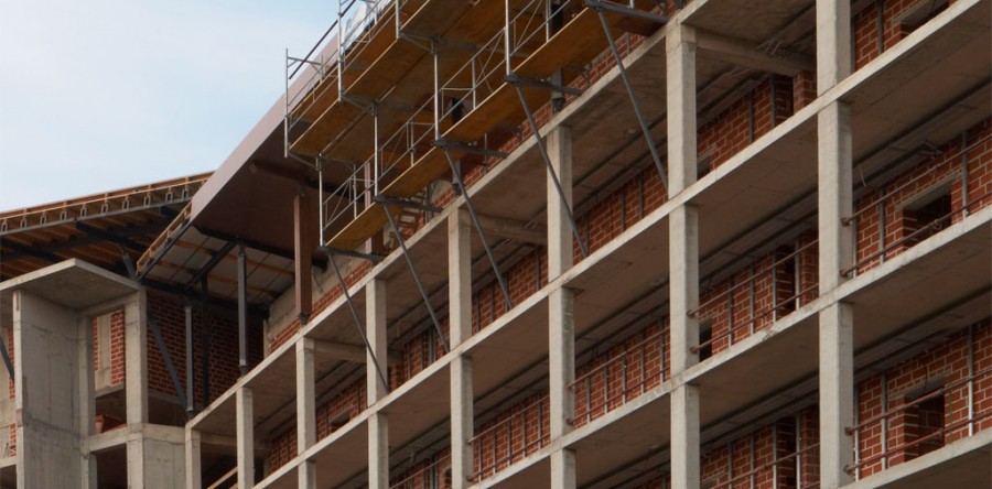 Etiam dictum egestas